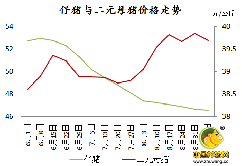 业内：看母猪价格坚挺，后期仔猪或将一蹶不振！