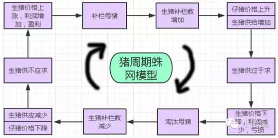 今年比去年少出栏5000万头 猪价将走下坡路？