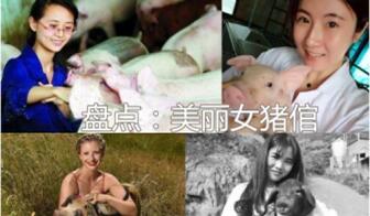 盘点那些养猪美女！女人养猪不易，美丽女人更不被理解……