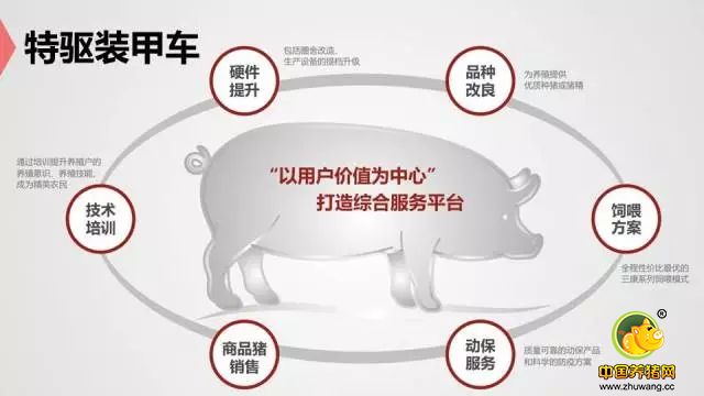 用好特驱平台 我有大未来 - 猪饲料企业 - 中国养