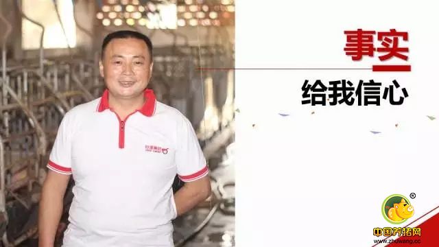 用好特驱平台 我有大未来 - 猪饲料企业 - 中国养