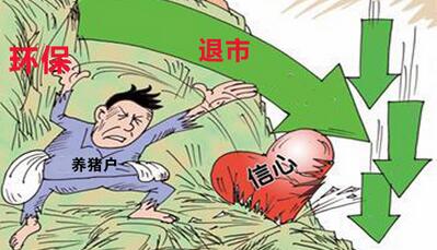 环保限养政策下，后备猪如何培育才能取得良好的收益呢？