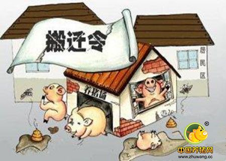 有些地方关闭80%以上养猪场 媒体：何必拒猪千里之外