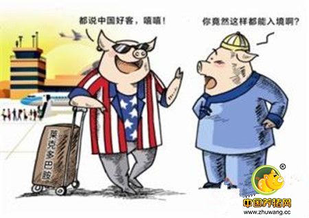 为什么美国养猪业现在还可以使用瘦肉精？