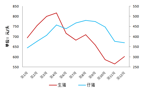 猪价涨跌对养殖户来说到底有多重要你知道吗？