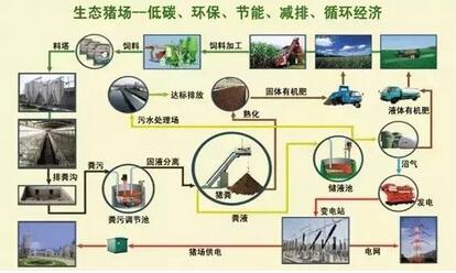 为何养猪与环保矛盾加剧，要靠“禁养、拆猪场”来解决？