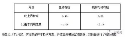 四处受敌的养猪人，请坚持住！