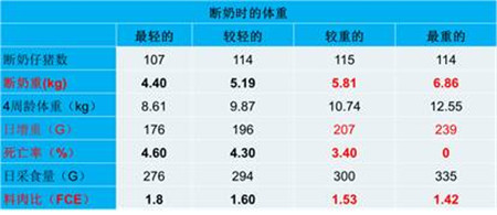 夏季重点关注:母猪奶水不足不仅影响仔猪生长性能,更