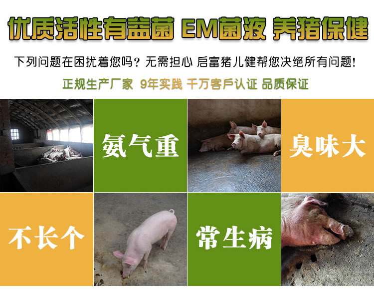  喂养肉猪配合喝水的em保健液哪里可以买到呢