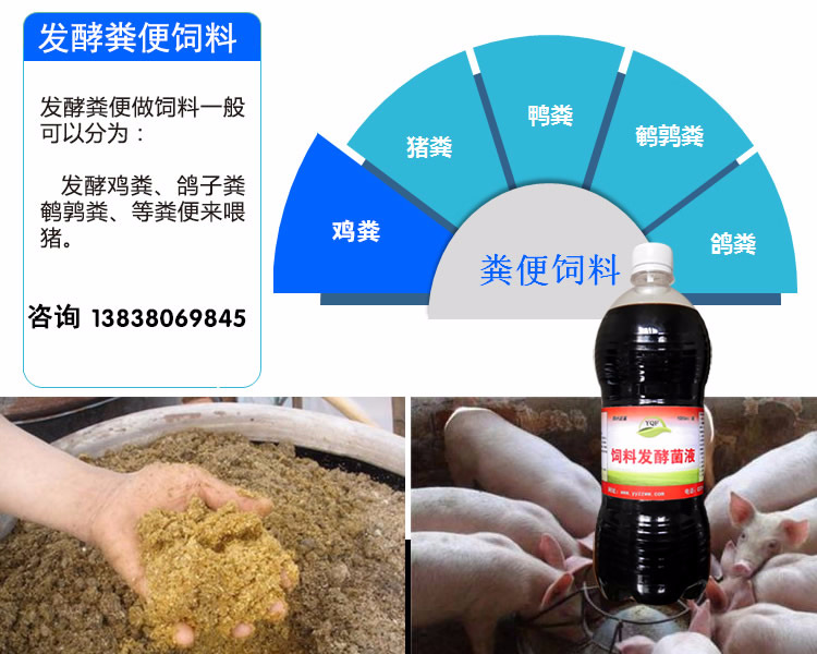 鸡粪养猪功能作用