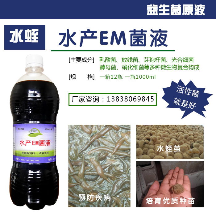  养水蛭用的em菌液可以净化水质吗