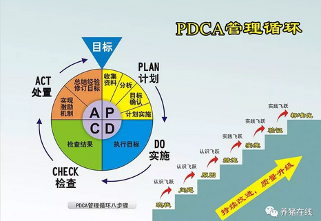 专业干货！PDCA循环管理如何实际应用在猪场中？