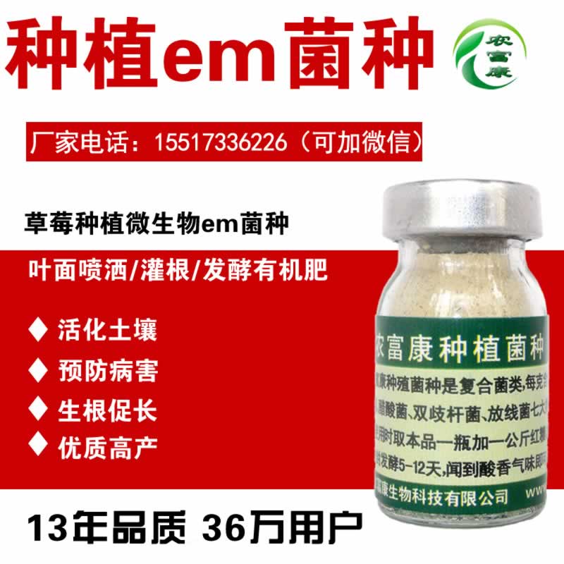 用EM菌种草莓长得快吗？好吃吗