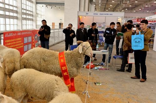  2018湖北畜牧业展会/武汉畜牧业博览会/2018中国畜牧展