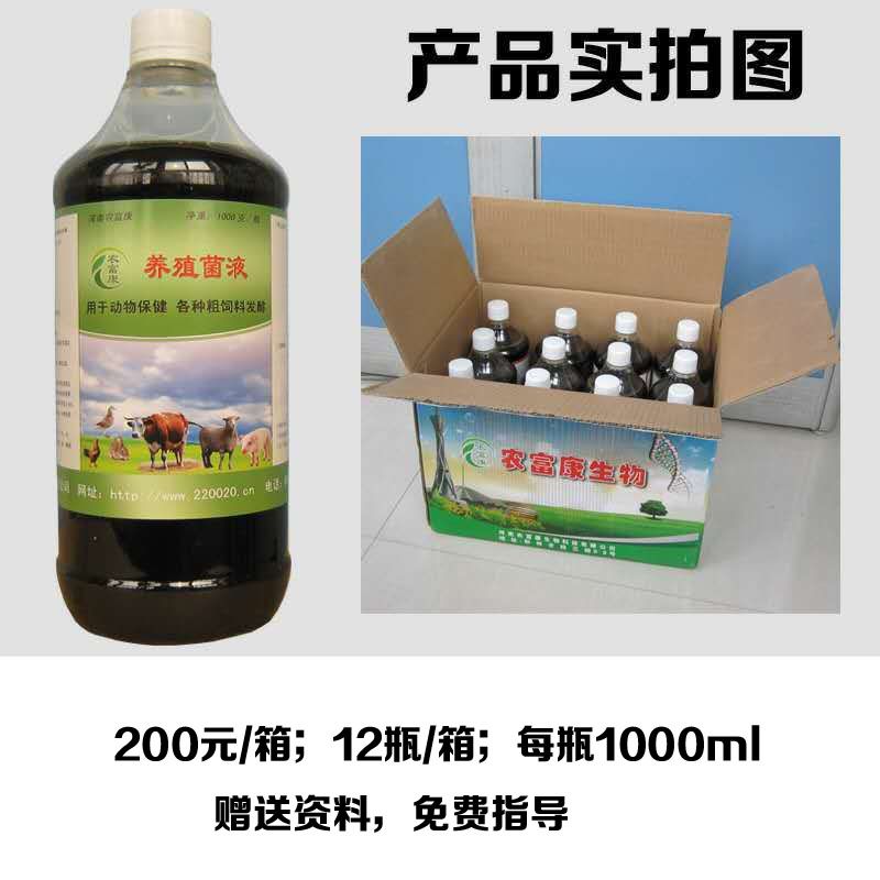 想要猪吃了泔水长得快不生病就用农富康养殖菌液