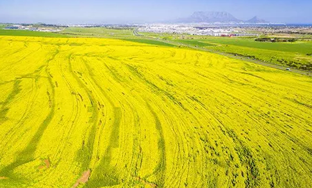 你家的土地值钱了！这几点实惠你一定会拿到？