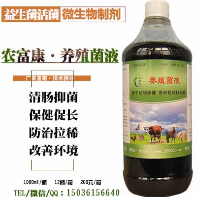 狐狸吃了霉坏饲料拉稀专用乳酸菌