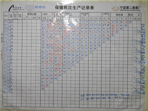 (母猪批次生产记录表引自台湾刘学陶老师)