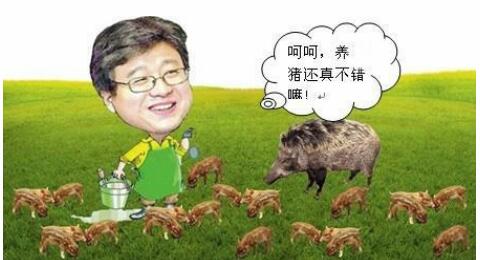 外行巨头也要养猪了，他们为什么要抢养殖户饭碗？