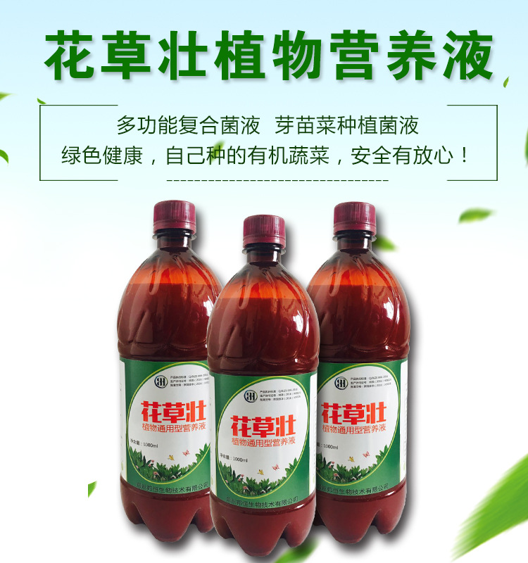 黄豆芽苗菜根部经常腐烂用什么可以制止芽苗菜专用益生菌