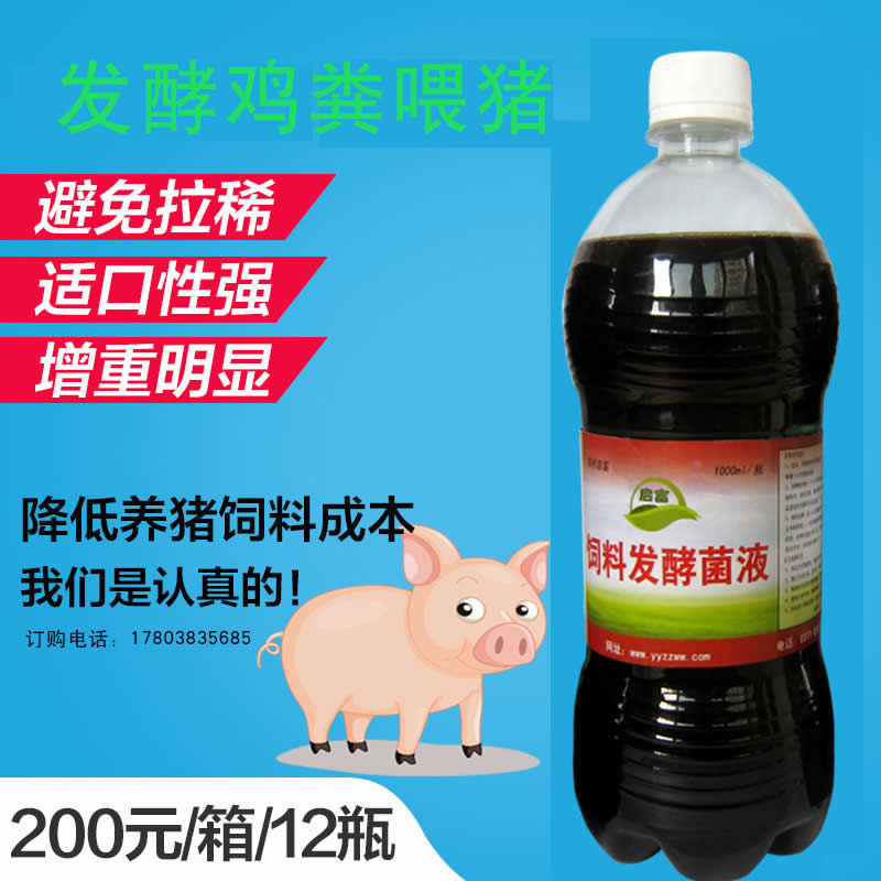   发酵鸡粪喂猪,让你养猪节省50%饲料成本的秘密!