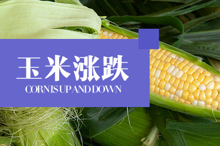 2022年03月15日河北省玉米价格行情走势汇总