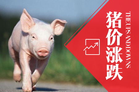 2024年06月13日全国外三元生猪价格行情涨跌表
