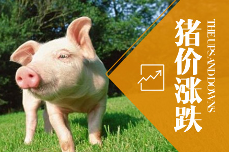 2024年06月06日全国外三元生猪价格行情涨跌表