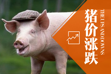 2024年05月19日全国土杂猪生猪价格行情涨跌表