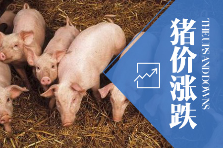 2023年08月25日全国土杂猪生猪价格行情涨跌表